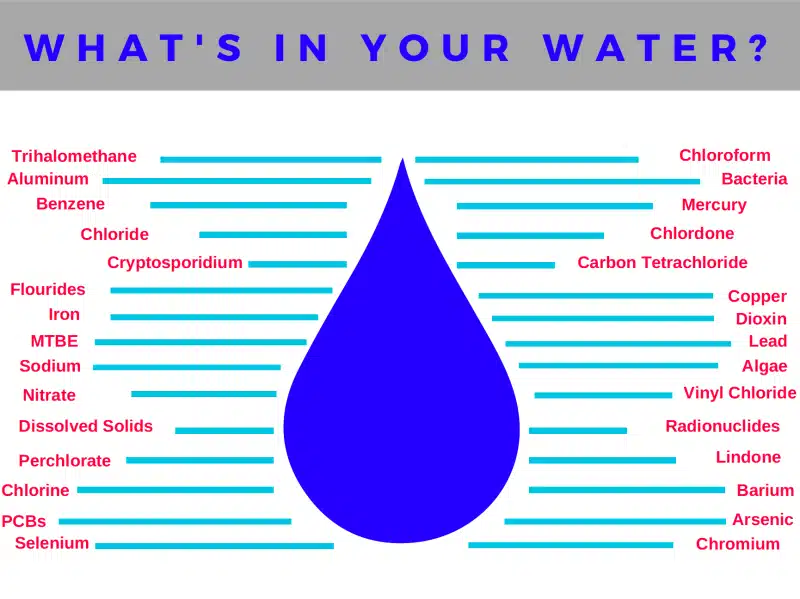 Whats in your water?