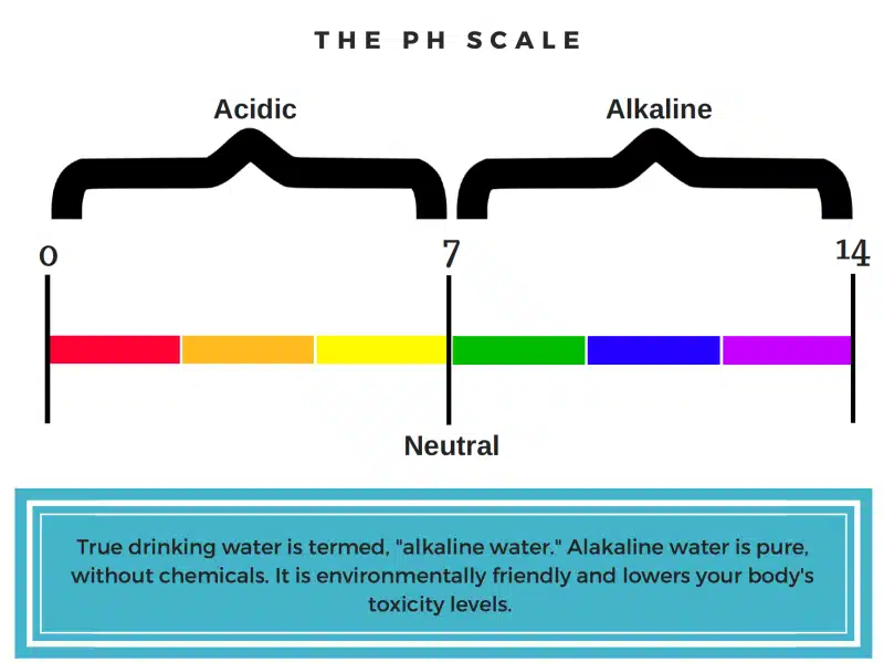 The PH scale