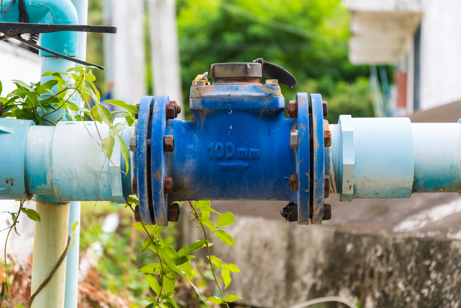 Understanding Backflow Testing: Why It’s Crucial for Homeowners