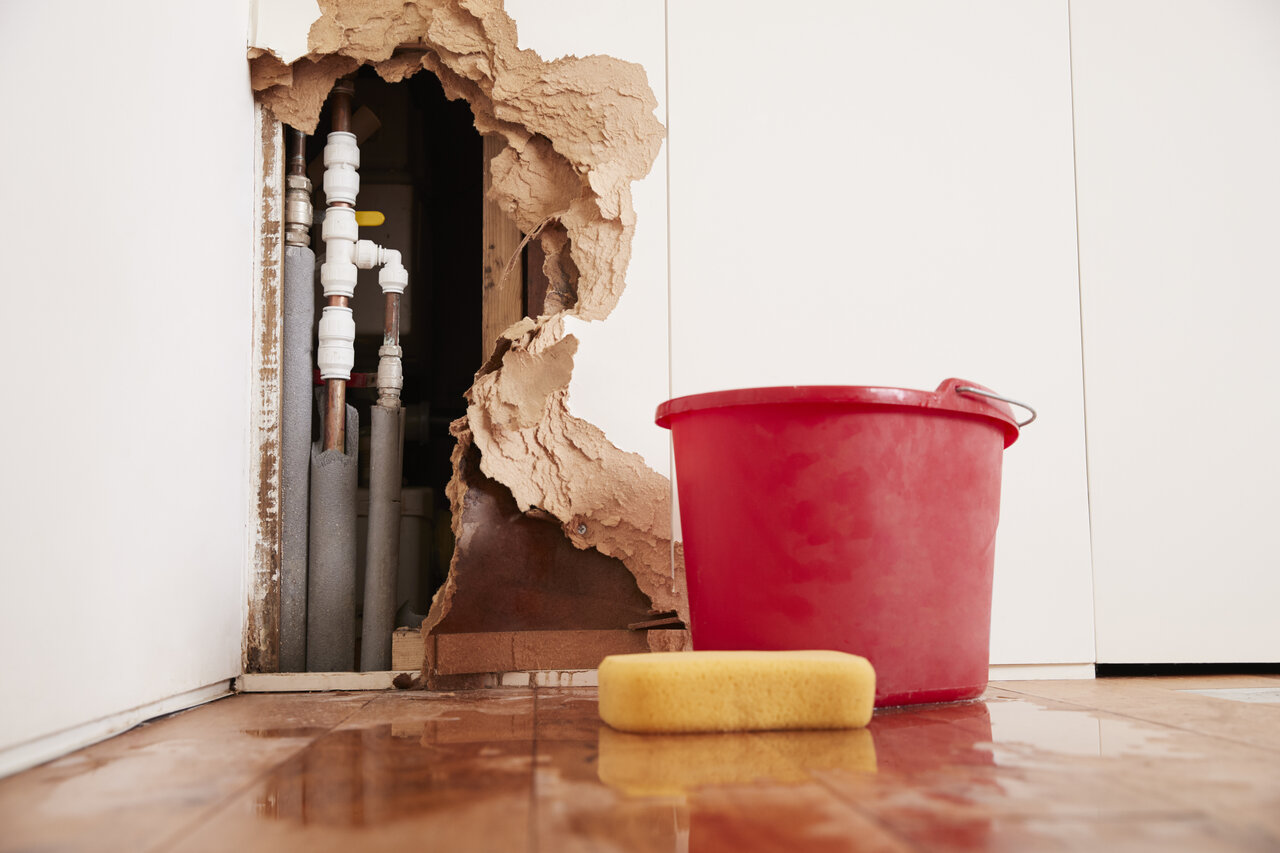 What to Do When Your Foundation Shows Signs of Sewer Damage