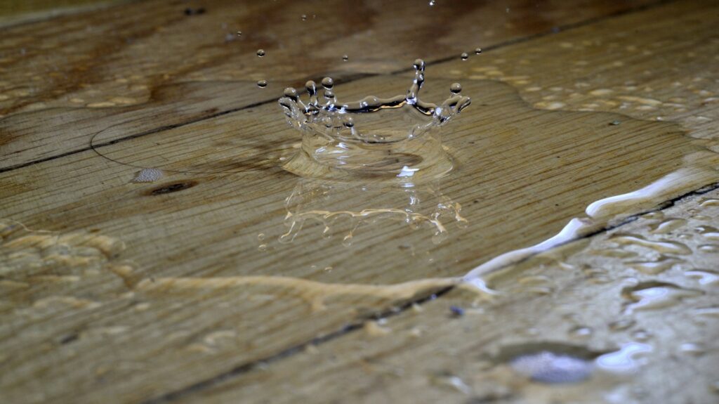 New SAWS Water Meters are Helping San Antonio Homeowners Find Leaks
