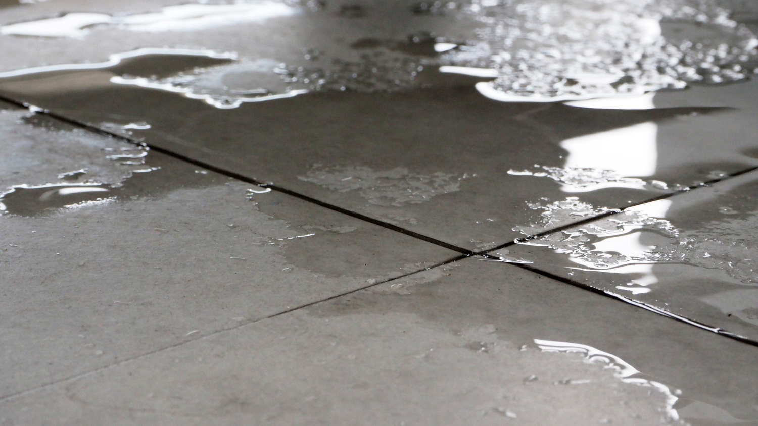 How to Spot a Slab Leak in San Antonio Before Spring Rain